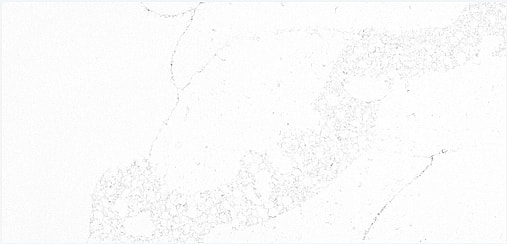 Quartz 6068 for Desk Tops Application