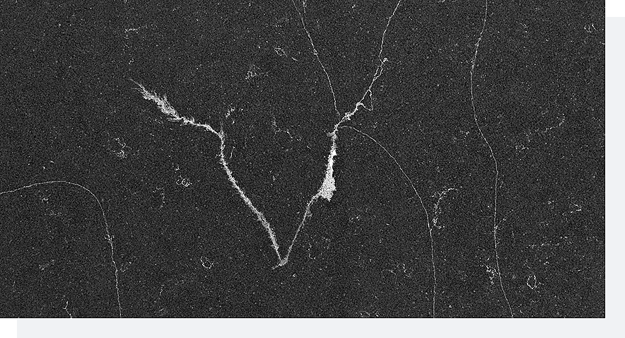 Las 5 Versiones de Cuarzo Calacatta que Transformarán Tu Espacio 6 Superficies de cuarzo PMC2412