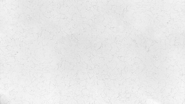 Stone Surfaces PMC2547-Partial